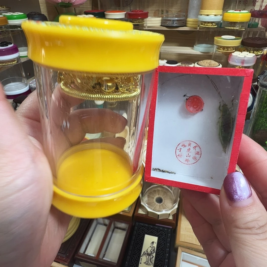 抖***！哈哈哈哈哈罐➕金钟