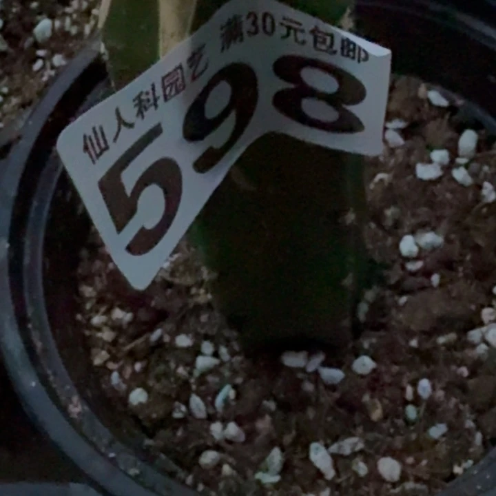 0***7无花朵福利苗接仙缀598