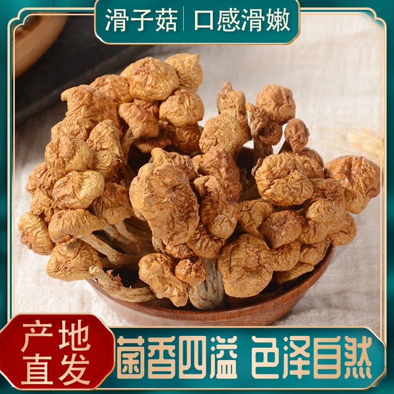 呼伦贝尔草原黄蘑、滑子菇、产地直发、100g*2袋