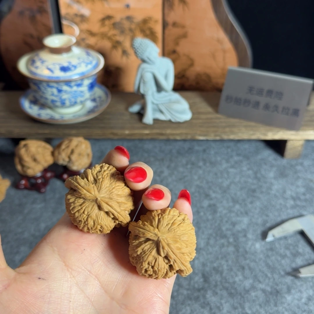 全品41白茬白狮子