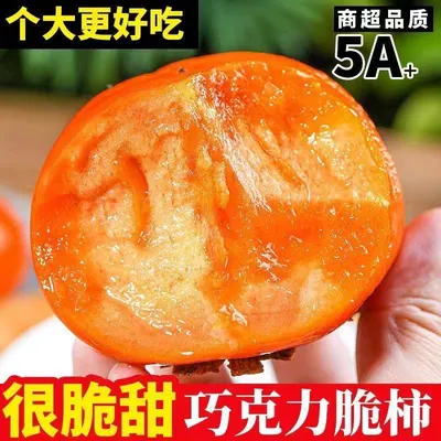 正宗山西阳丰巧克力脆柿子脆甜多汁新鲜现摘产地直发