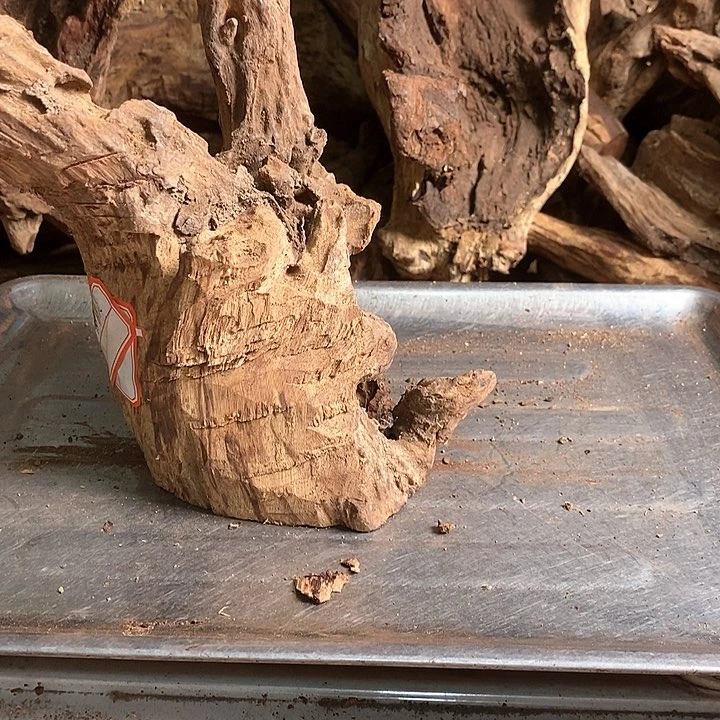 花梨木类变****林海南花梨