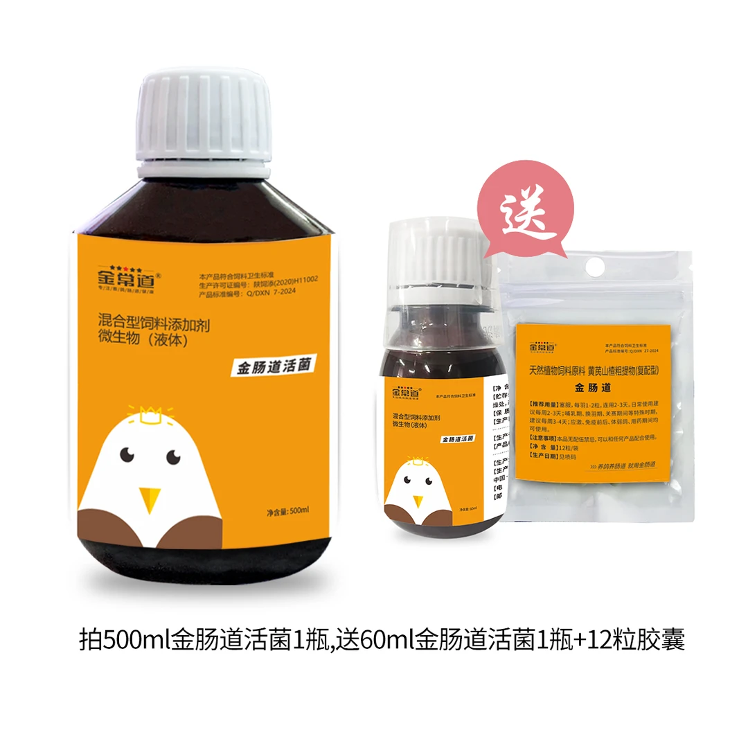 金肠道活菌活动中   赛鸽专用