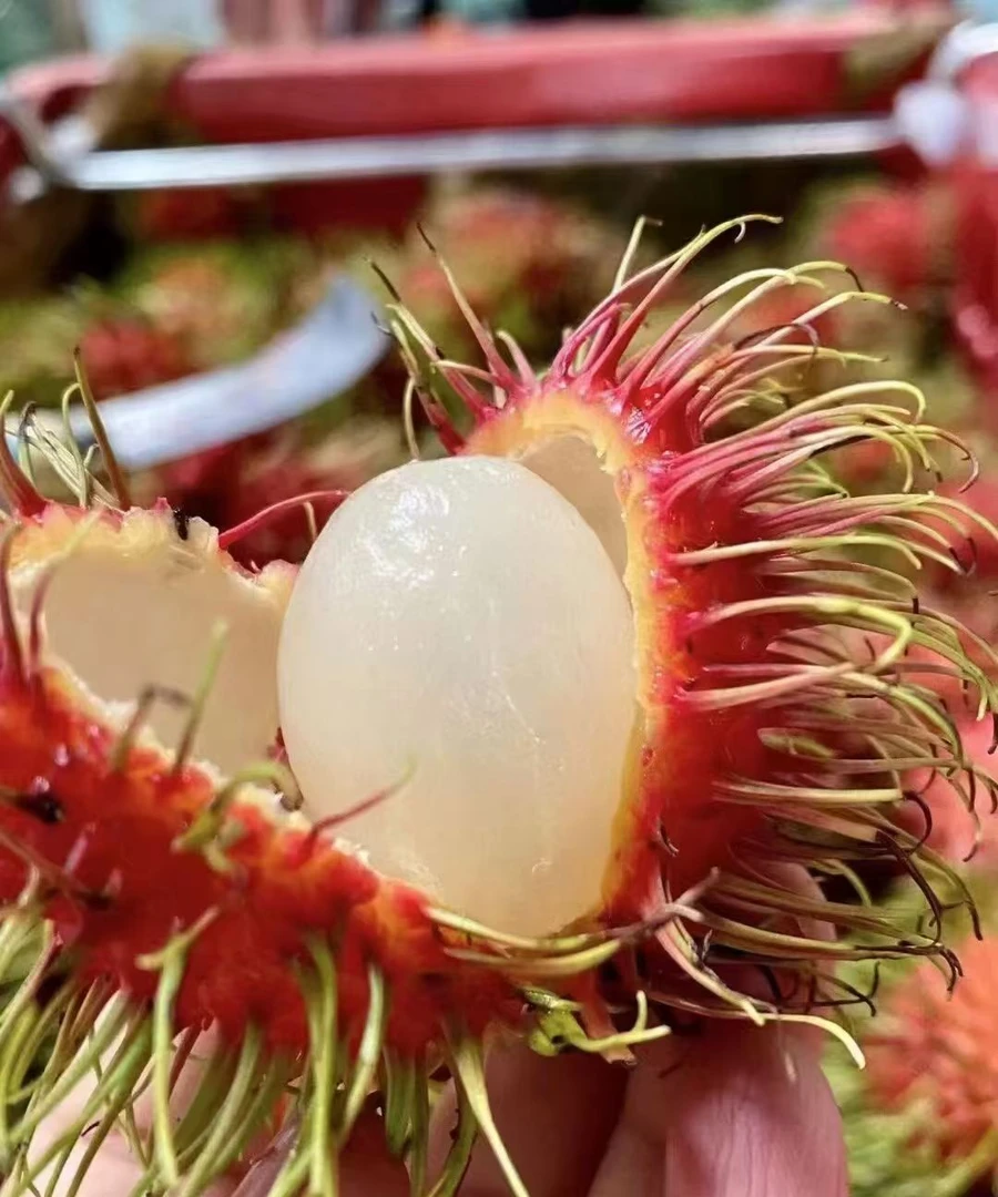 海南保亭红毛丹。新疆发其他空运（顺丰京东空运包邮）