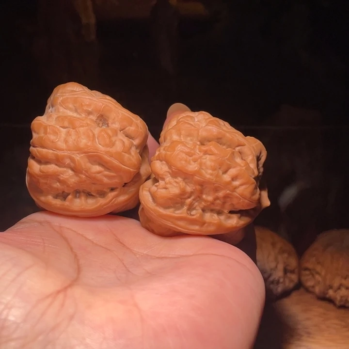 全是蛤蟆头    47