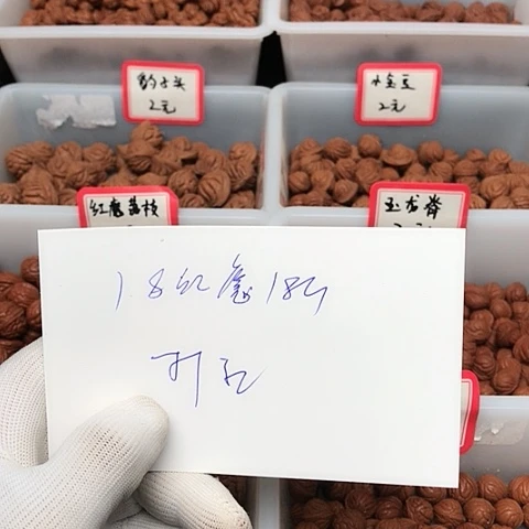 桃核吊坠沙*龙纹桃核的搭配