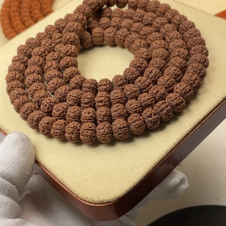 吊坠金刚菩提老树王1.0