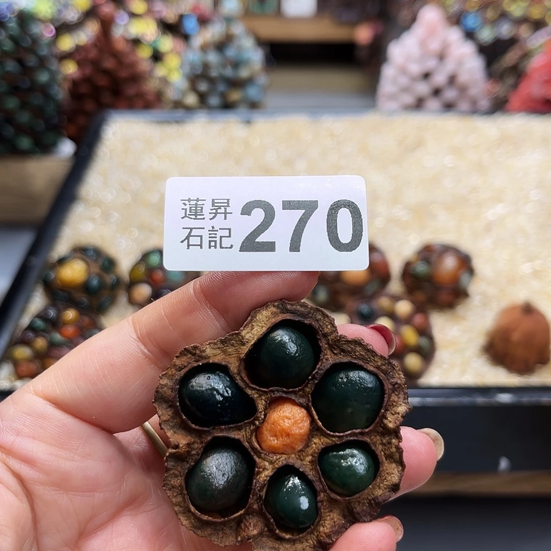 晚***秋核桃木/黑胡桃（胡桃木）270