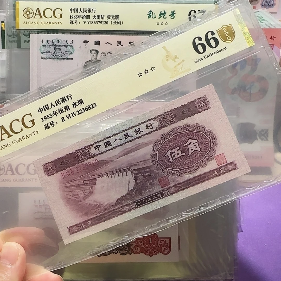纸2236823。。。。。。金盾