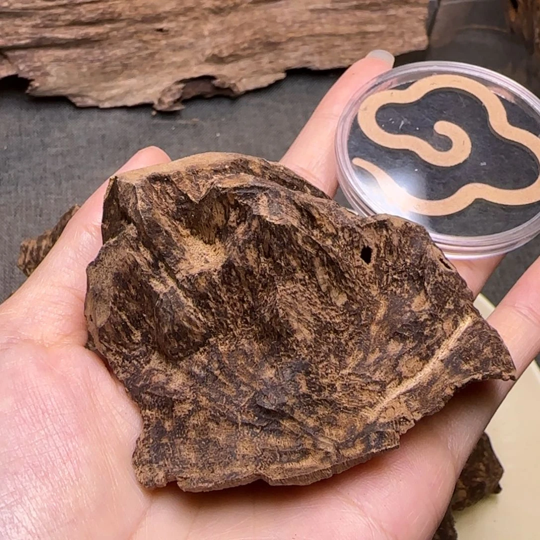 海南黑油老顶10.5克