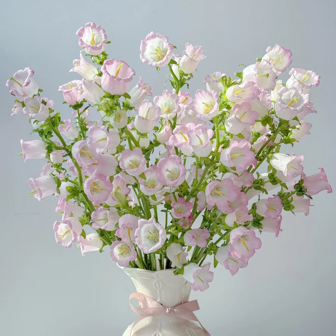 『粉色风铃花一把』超长花期粉嫩可爱品质鲜花 全场任意满两单鲜花顺丰京东包邮 三单鲜花送玻璃花瓶鲜花次日达
