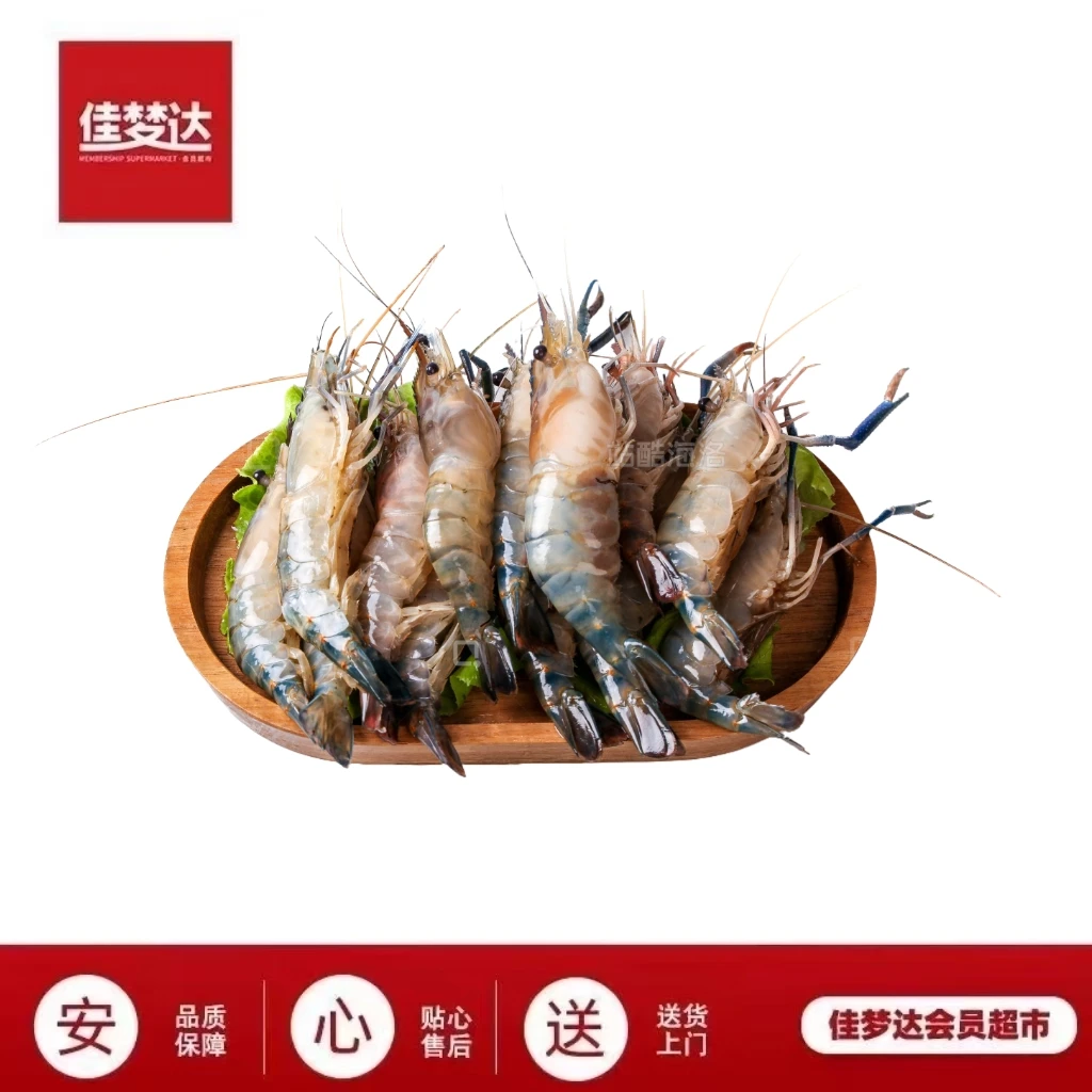 黑虎虾500g起 (保鲜不包活运输过程可能出现断氧介意慎拍大虾同城送)