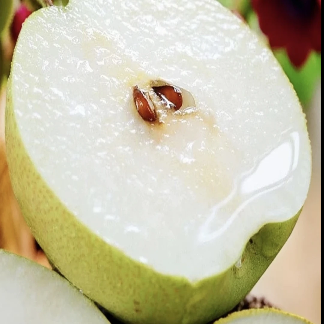 玉露香梨 脆甜多汁 当季应季水果
