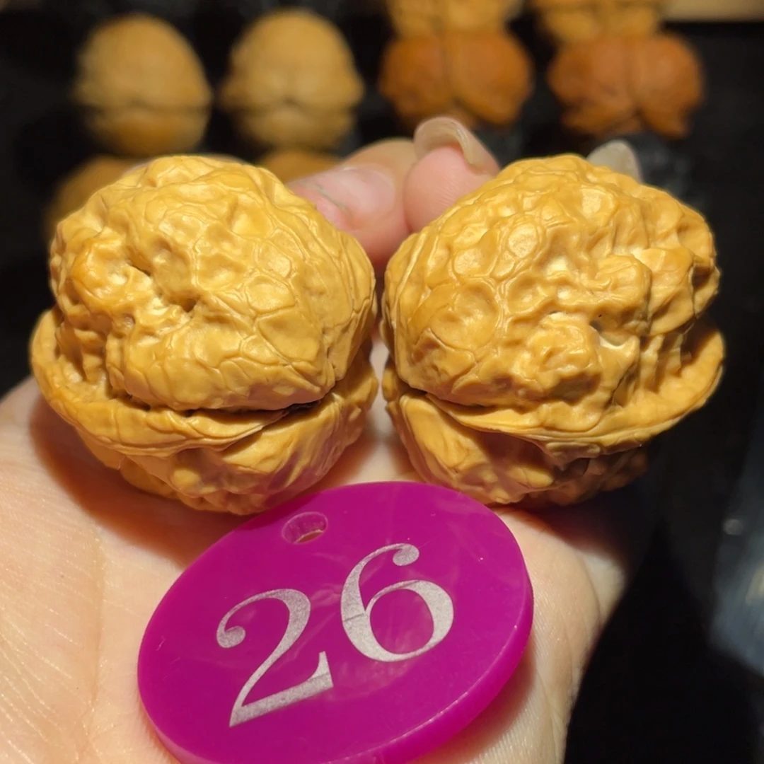 荷叶娃35尺寸核桃