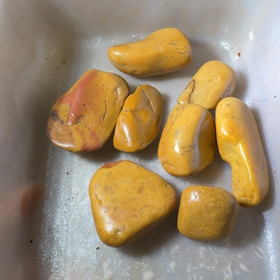 六***哥寿山石899899989998