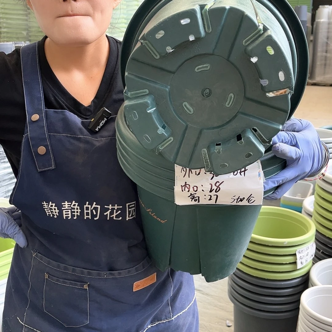 青山盆6#墨绿色5个无托