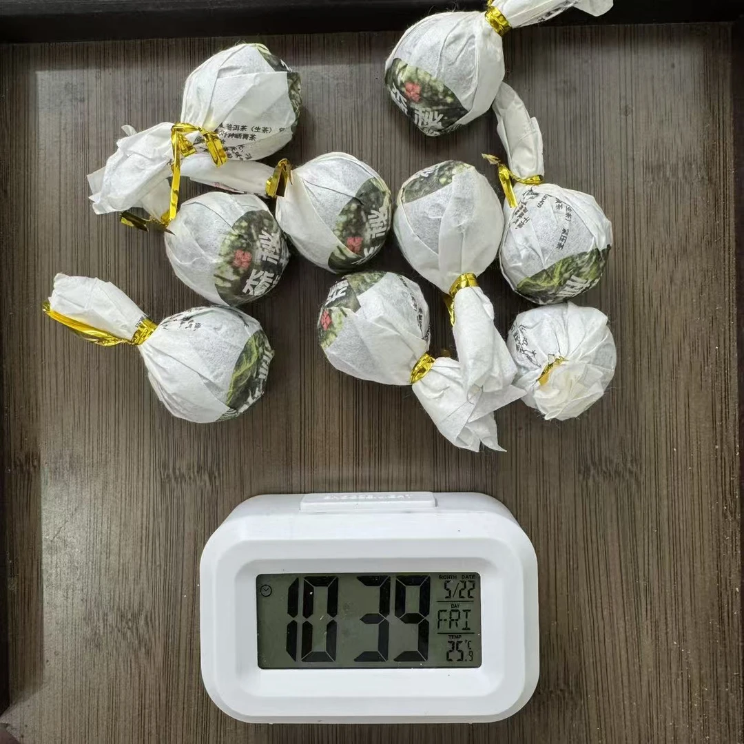 【036】 2021年 邦东绿水溏 森林秘境 春茶 普洱生茶龙珠 带试喝装