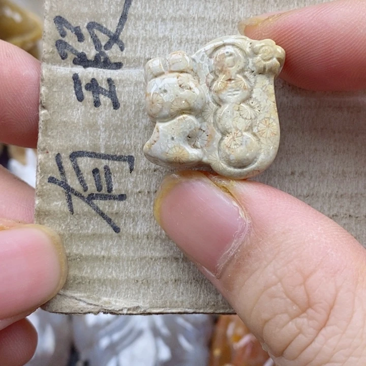 颈饰未镶嵌硅化珊瑚（珊瑚玉）￥****猫小