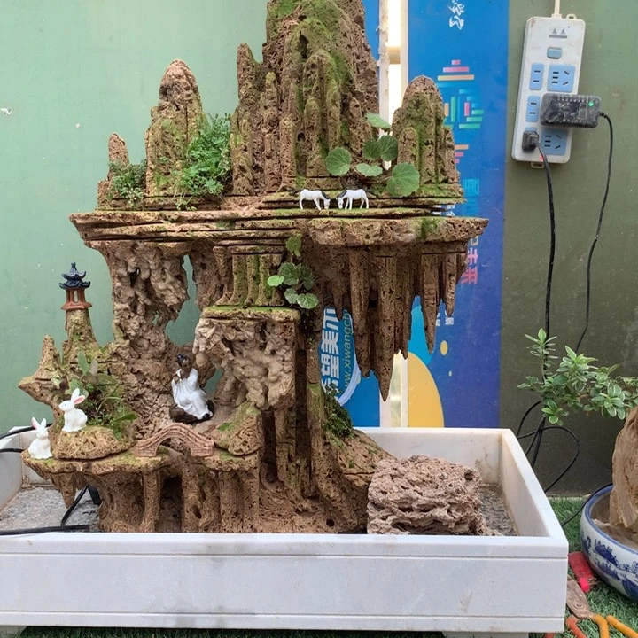 用***9完全开放吸水石盆景