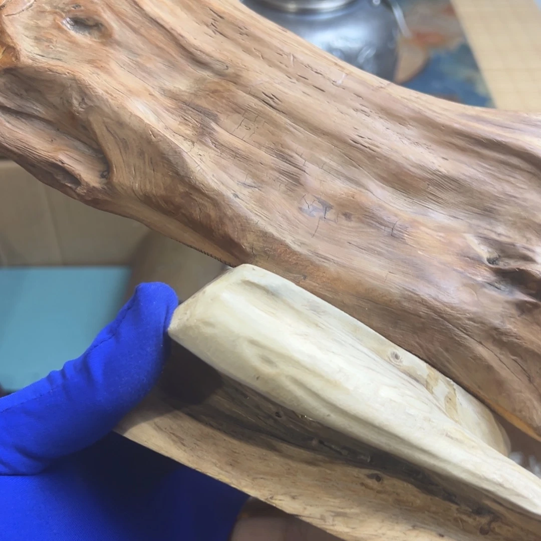 茶宠哈哈哈哈哈哈哈哈哈哈哈哈哈