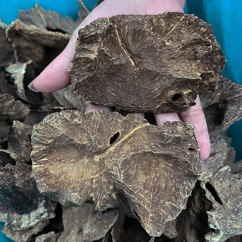 【溪山沉香】海南沉香原料上炉薰香料