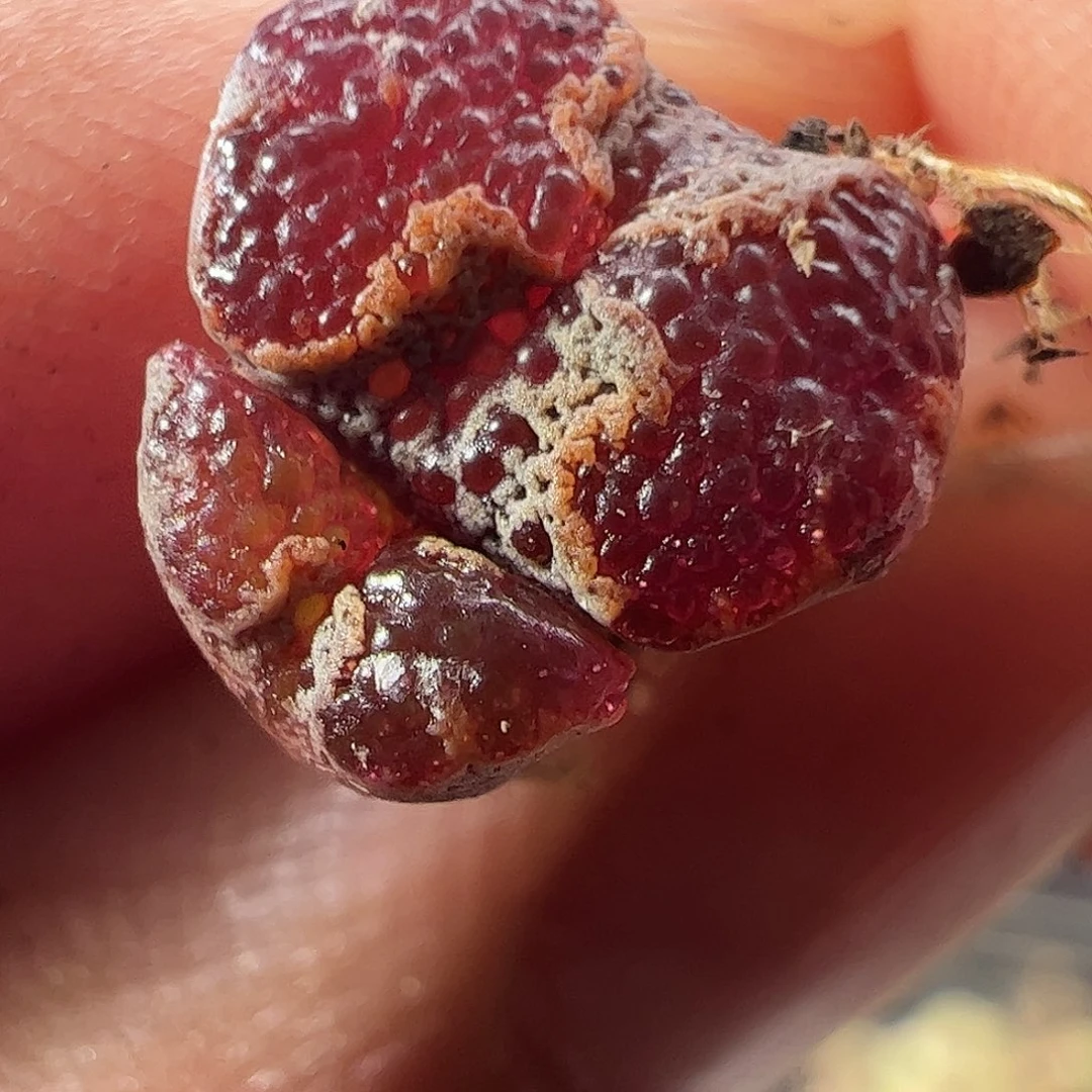 一物一拍。     870