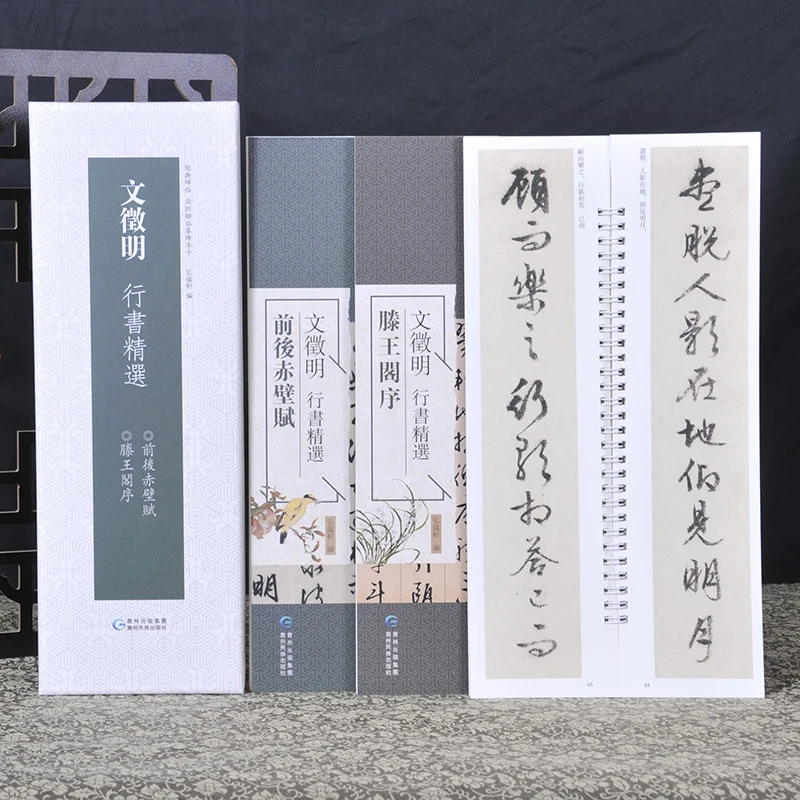 文徵明：前后赤壁赋 滕王阁序 近距离临摹字卡征明行书法毛笔字帖