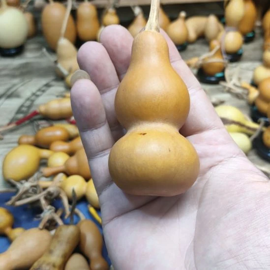 W***h木葫芦！！！！！！！！！！