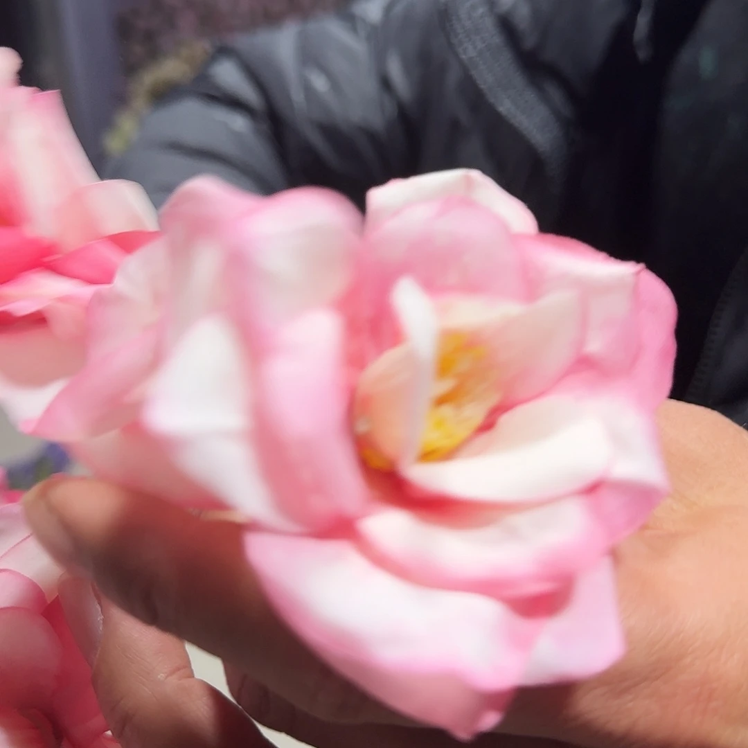 906号粉色6头花10支