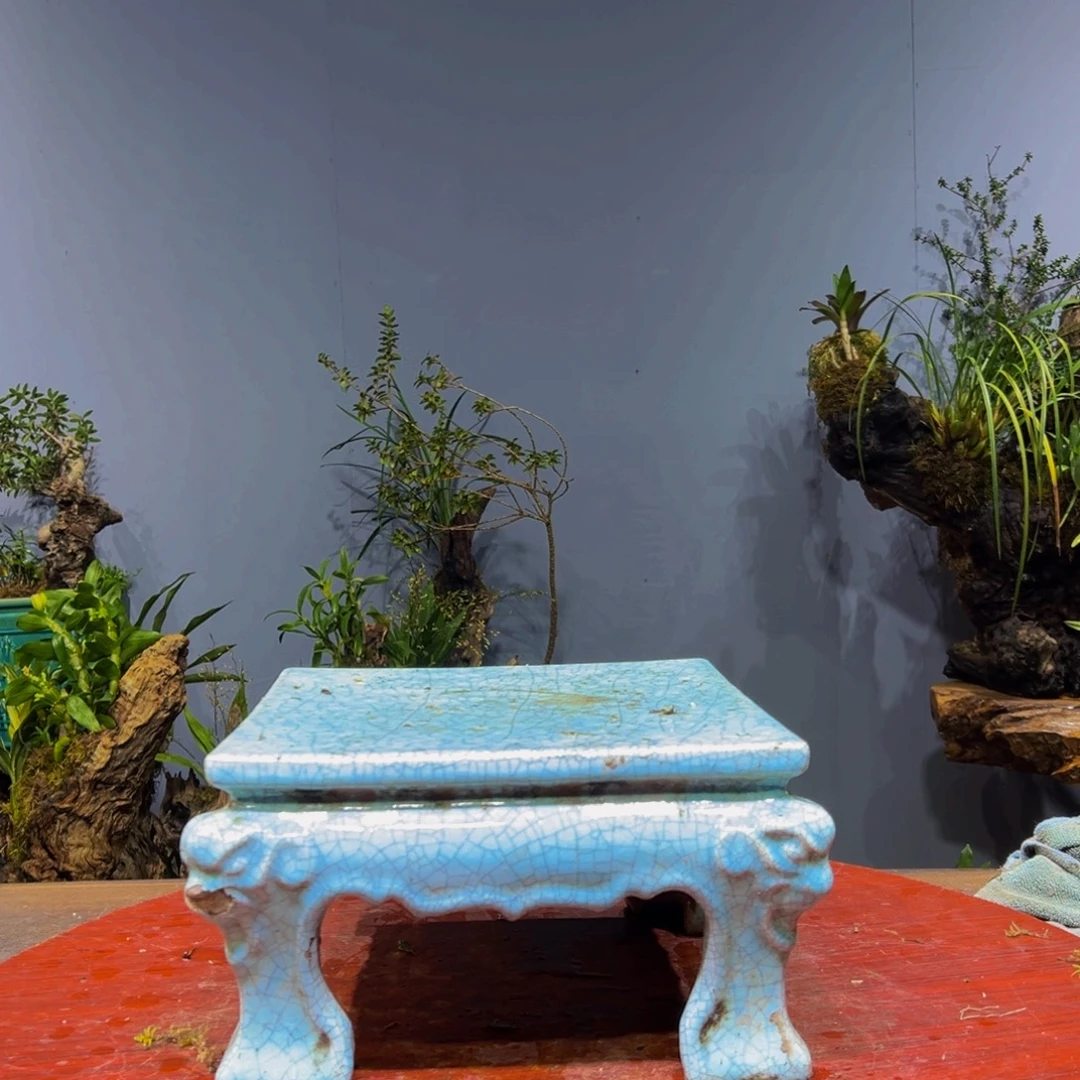 静***静完全开放111111111111