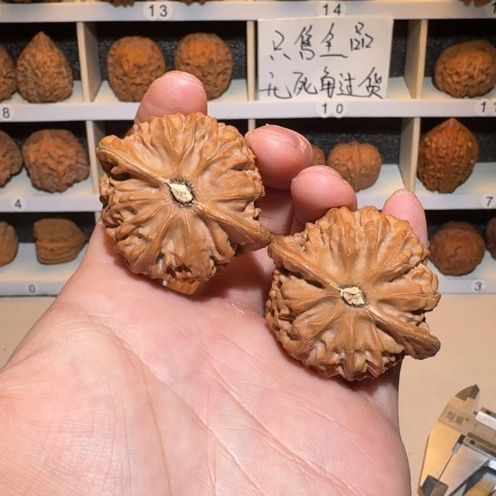 45尺 全品白茬 矮桩 宫灯