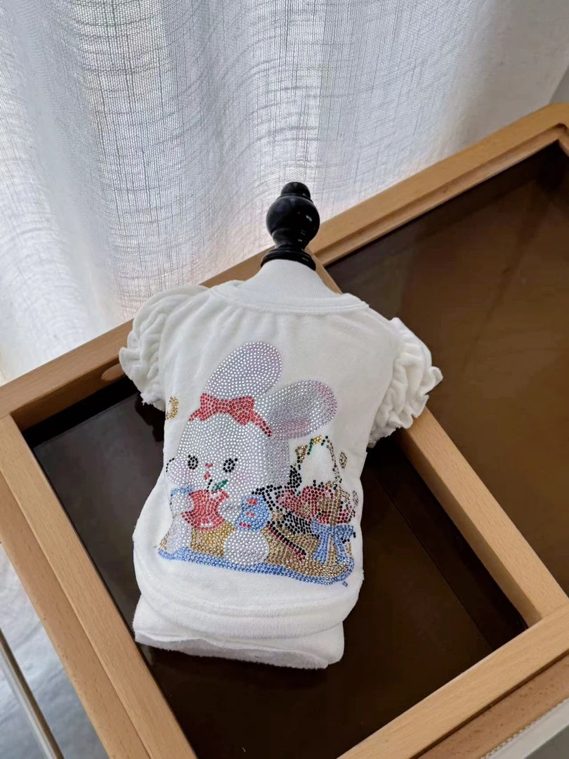 三色打底大眼弟弟宠物服饰