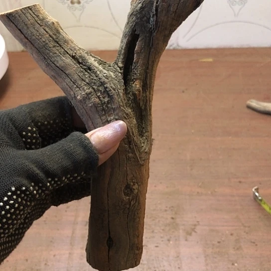 大果紫檀（缅甸花梨）8**9