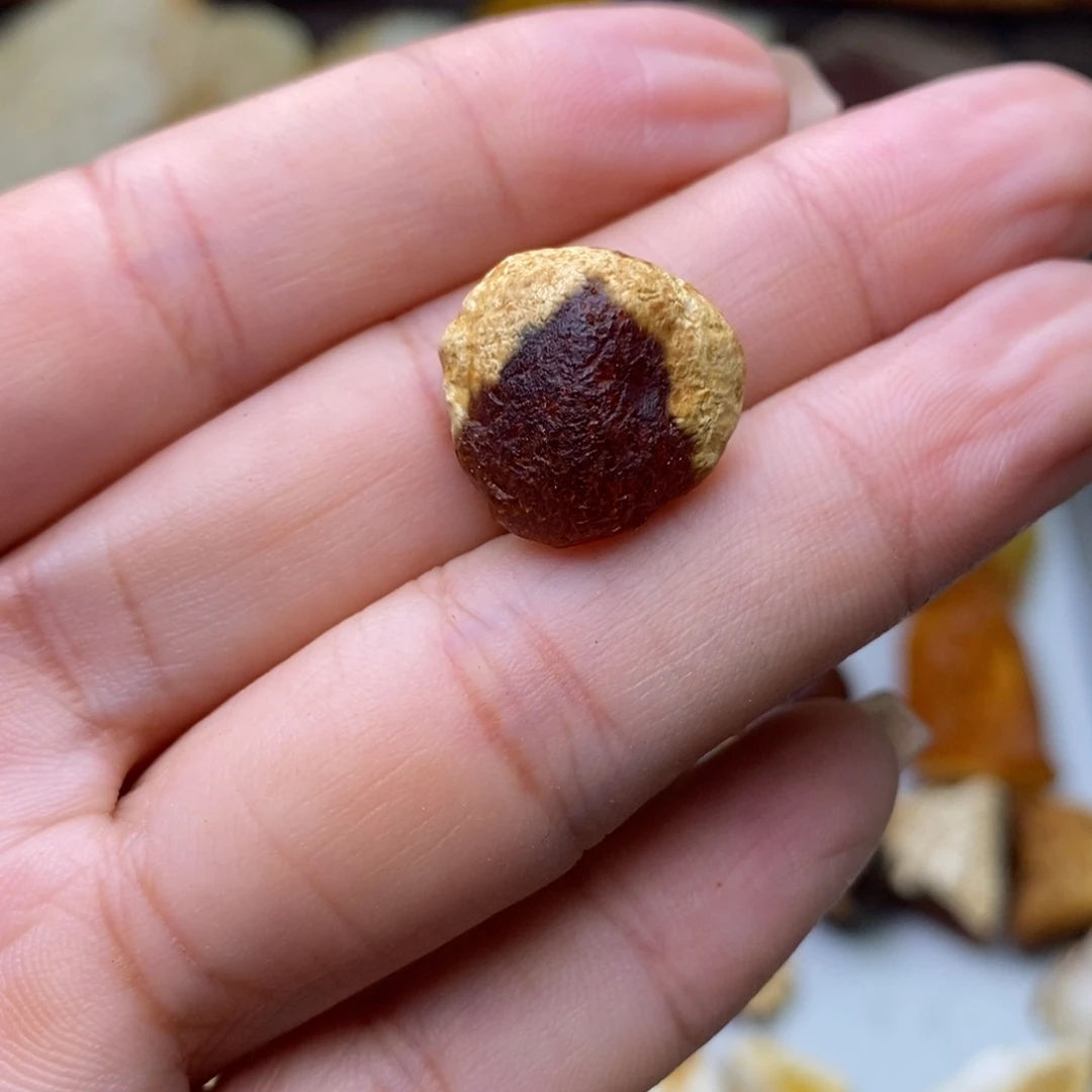 定制琥珀天然蜜蜡乌料