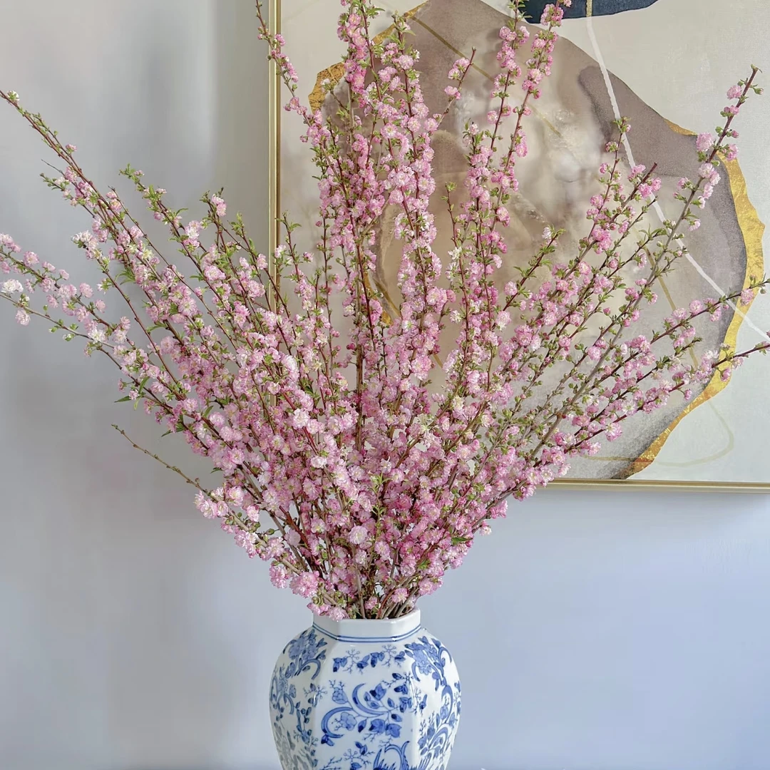 【珍珠李1把】1单中通2单顺丰云南鲜花水培春节氛围