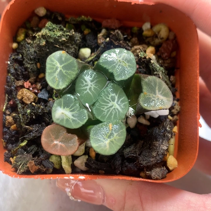 天空万象一物一拍