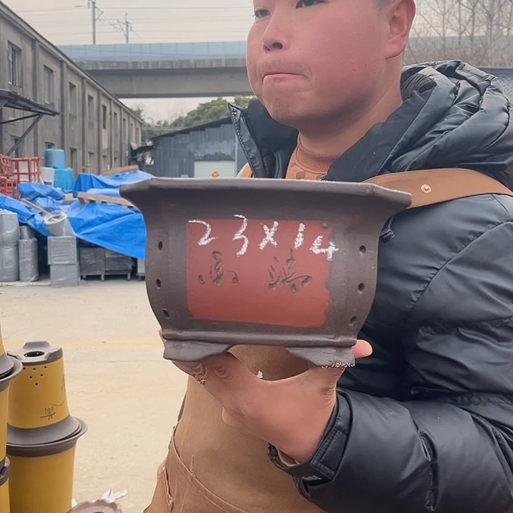 紫砂花盆紫砂花盆盆栽