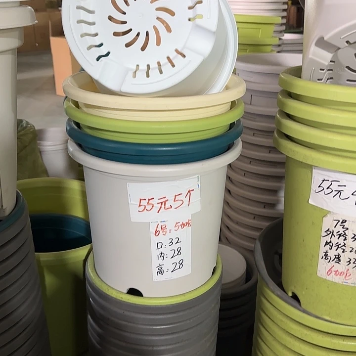 微瑕6#口径32无托果绿5个