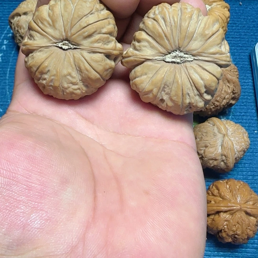 z***n吊坠文玩核桃全品44南瓜饼