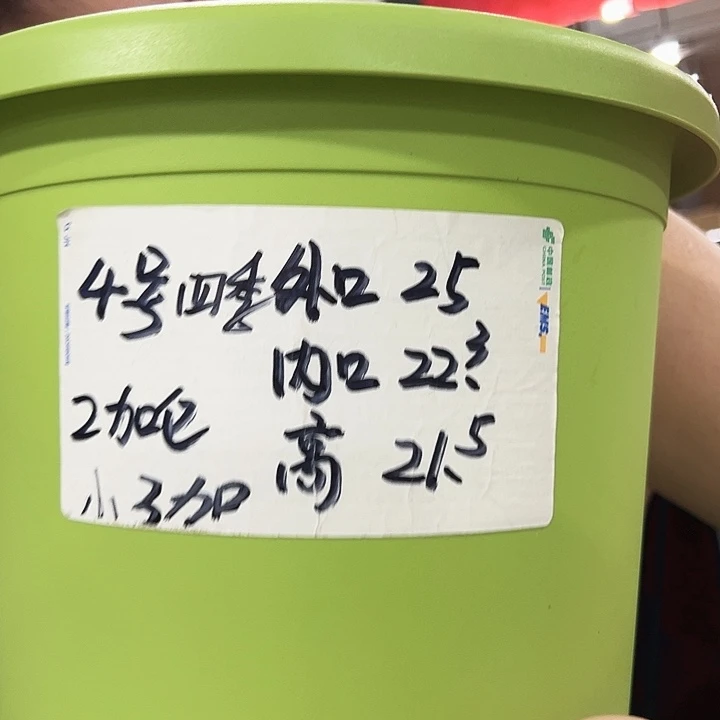 特价4号四季口25高21混色6只带托
