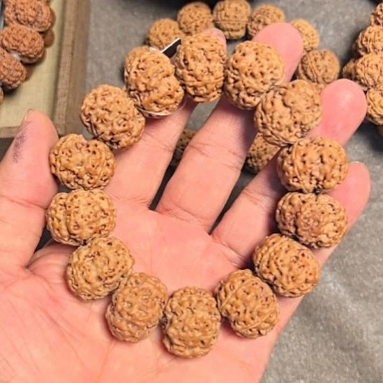手串金刚菩提五星蜂王大金刚手串，22左右尺寸