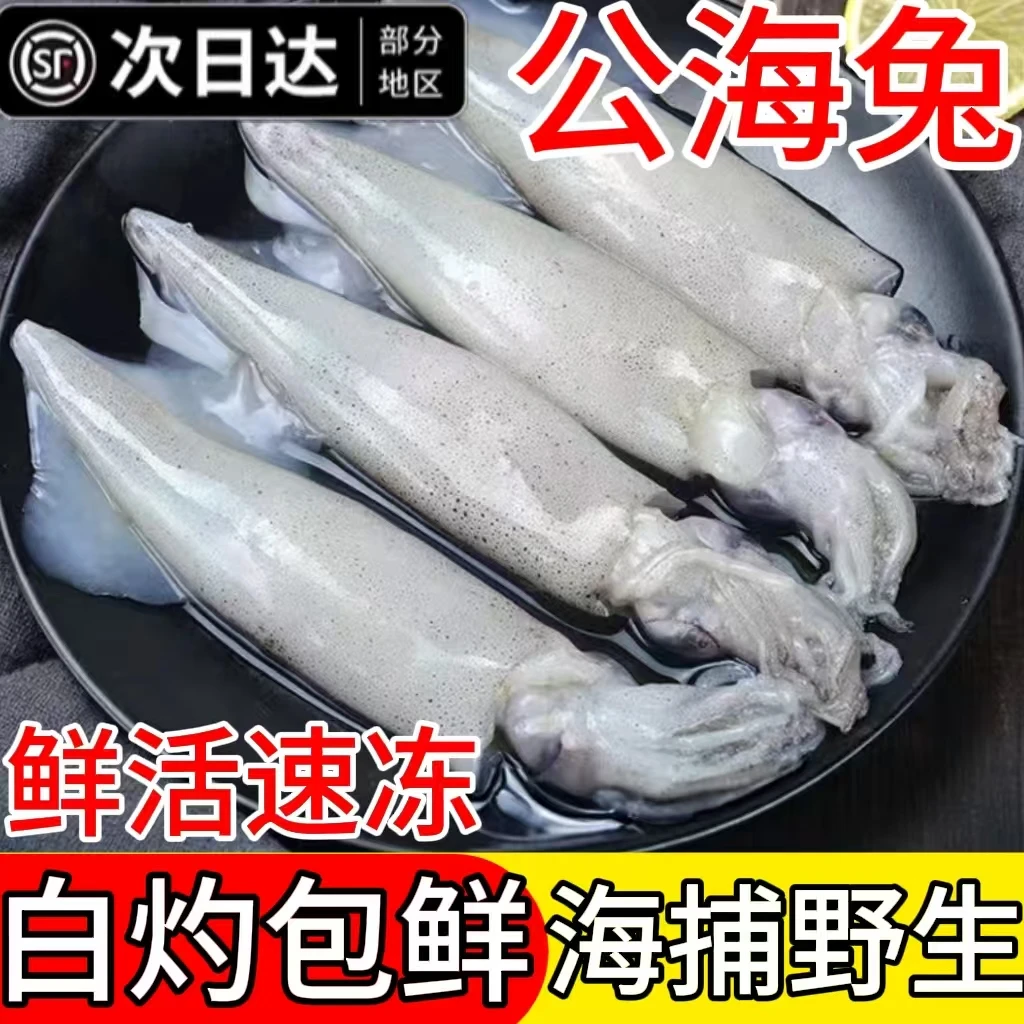 新鲜小管鱿鱼白灼鱿鱼冷冻大鱿鱼大笔管鱼小乌贼海鲜水产鲜活生鲜