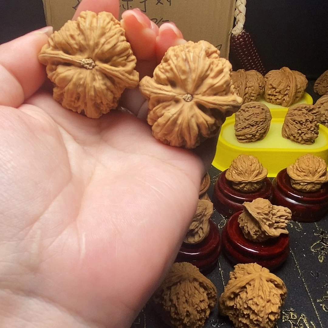 傻***二大叶紫檀（黑酸枝木类）全品无修大粗筋