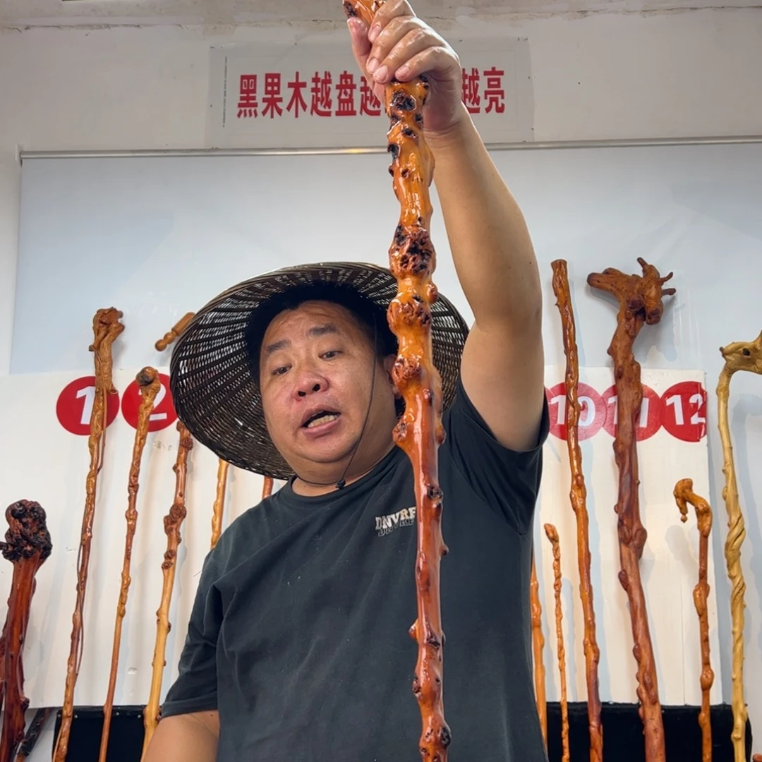 枫****黑果木其他黑果木243