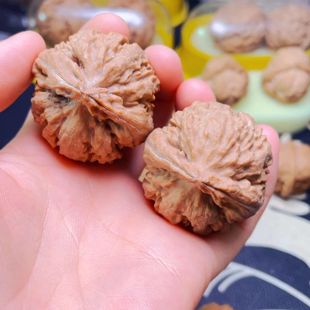 文玩核桃吊坠霸王龙