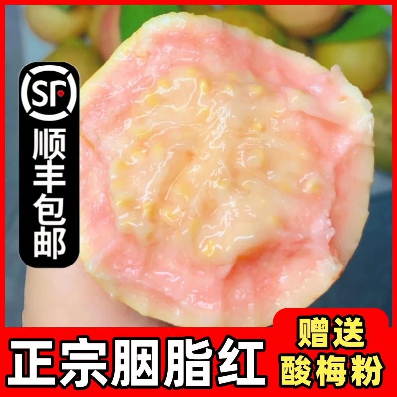 【顺丰速发】胭脂红芭乐番石榴鸡屎果奶油芭乐当季新鲜南方红心芭乐