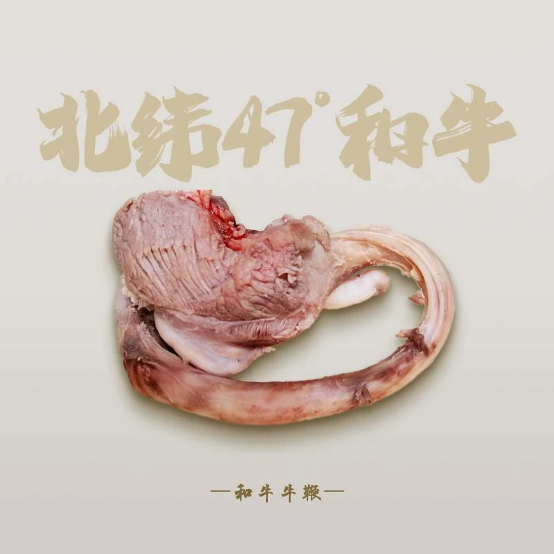 龙江和牛【和牛牛鞭肉】国产原切谷饲600天处理干净无异味和牛牛肉