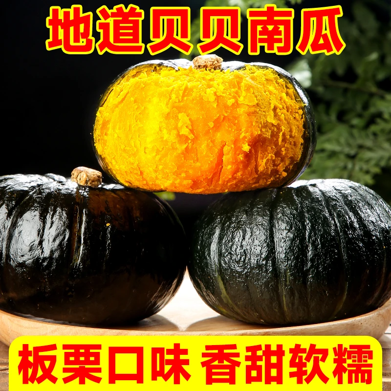 朔农干粉香甜南瓜贝贝正宗板栗味新鲜现摘现发迷你小南瓜