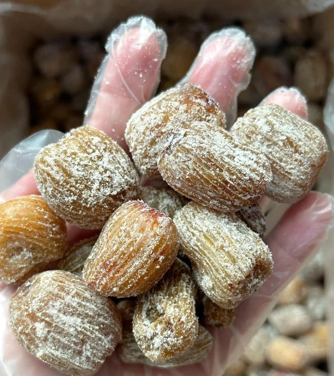 农家采摘黄金蜜枣