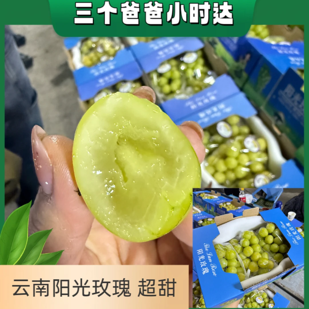 【礼盒】云南挂果期长自然成熟纯甜无酸香气浓阳光玫瑰葡萄新鲜当季现摘一箱3 - 4串净4斤云南省